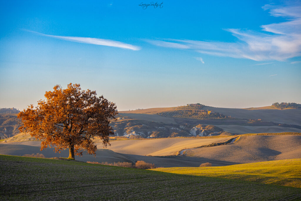 Val d'Orcia